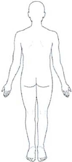 Body back
