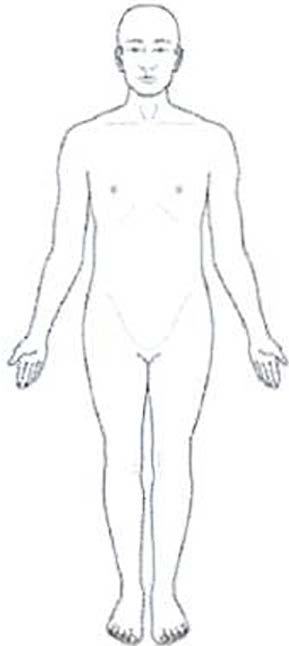 Body front